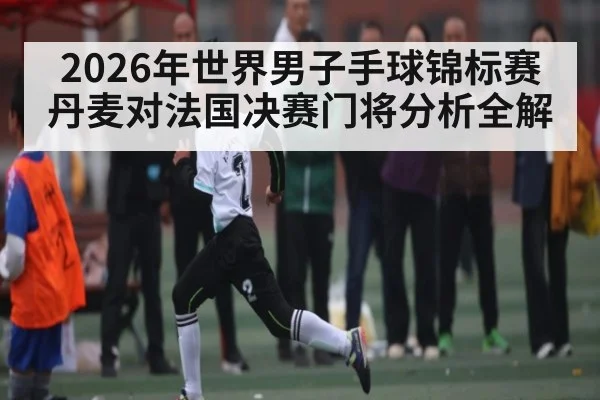 2026年世界男子手球锦标赛丹麦对法国决赛门将分析全解